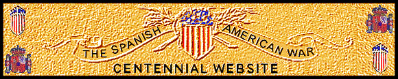 sawhead1.jpg (79060 bytes)